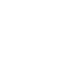 MentalVital.ME Logo